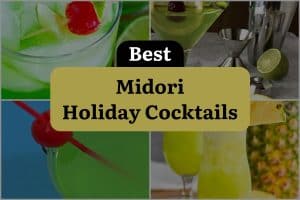 15 Best Midori Holiday Cocktails