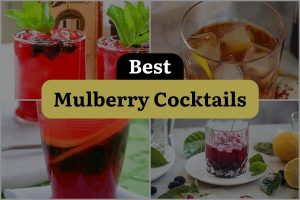 8 Best Mulberry Cocktails