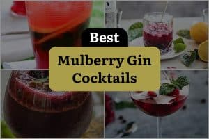 4 Best Mulberry Gin Cocktails