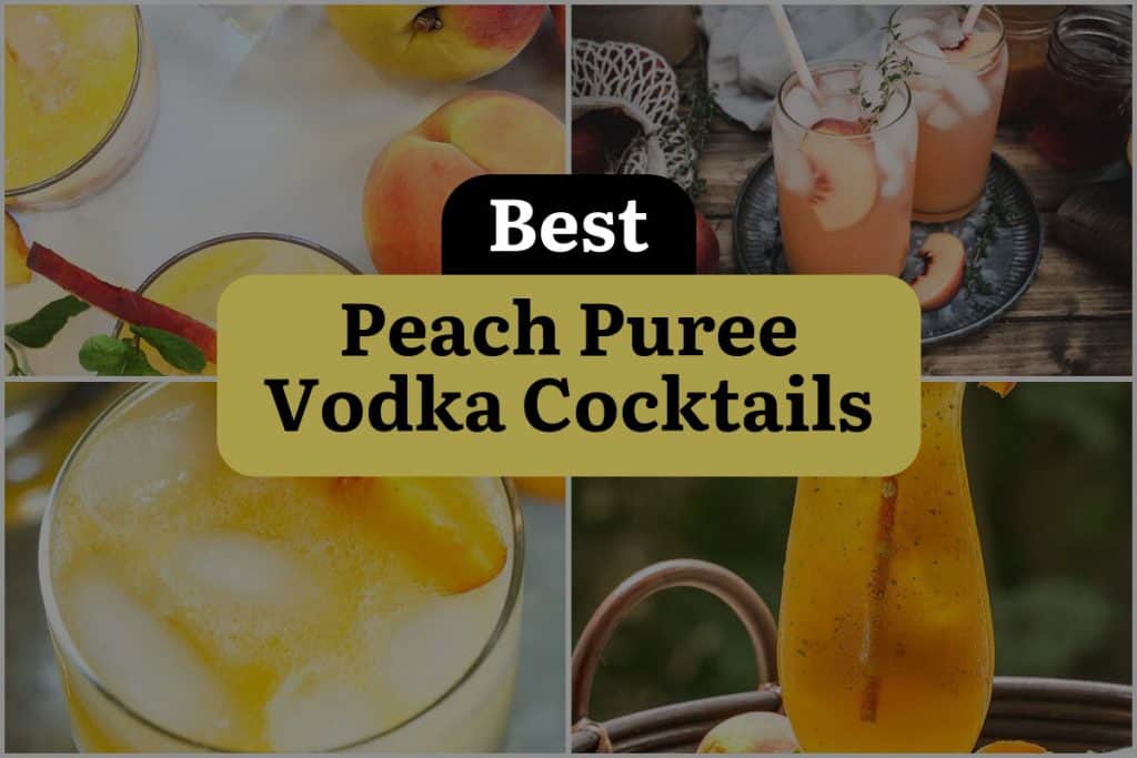 11 Peach Puree Vodka Cocktails to Shake Up Your Summer! | DineWithDrinks