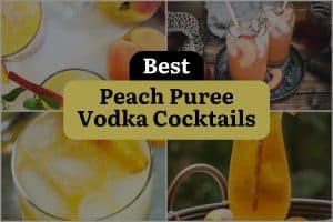 11 Best Peach Puree Vodka Cocktails