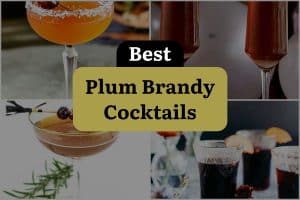5 Best Plum Brandy Cocktails