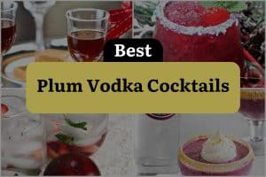 4 Best Plum Vodka Cocktails