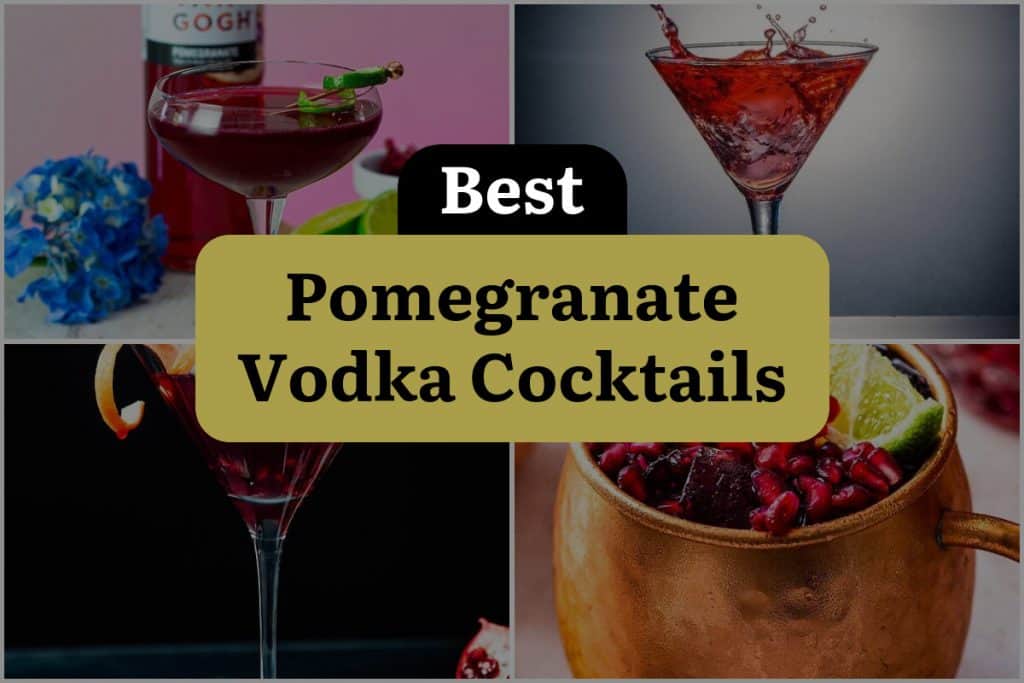 27 Pomegranate Vodka Cocktails to Shake Up Your Night! DineWithDrinks