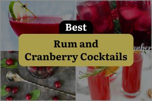 14 Best Rum And Cranberry Cocktails