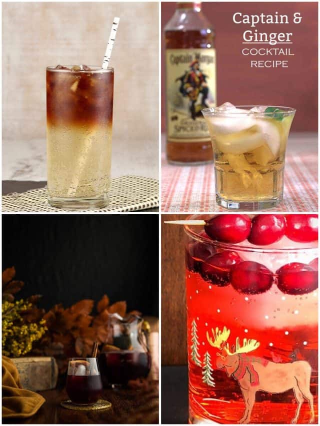 14 Rum And Ginger Ale Cocktails That Will Spice Up Your Life!