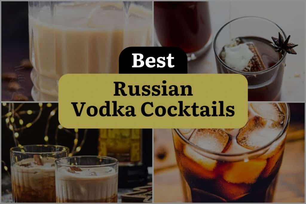 20 Russian Vodka Cocktails to Shake Up Your Spirits! DineWithDrinks