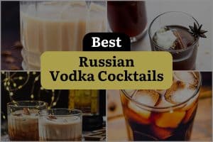 20 Best Russian Vodka Cocktails