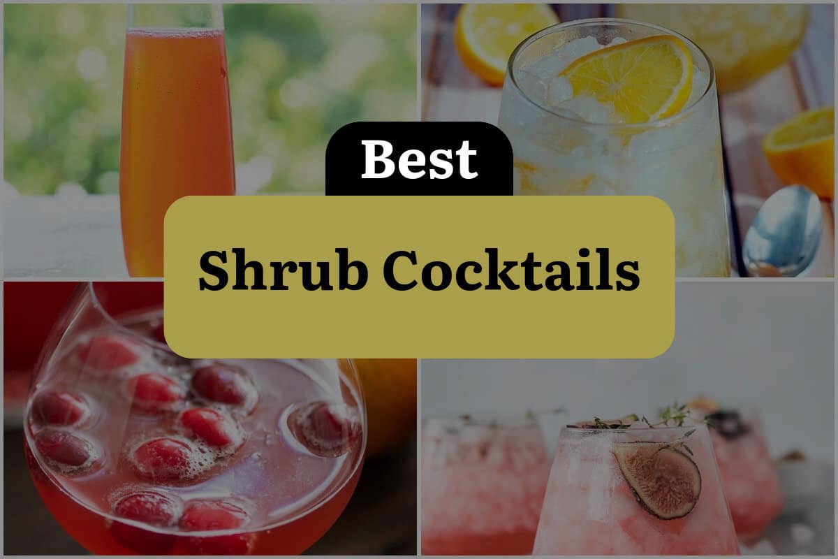 27 Best Shrub Cocktails