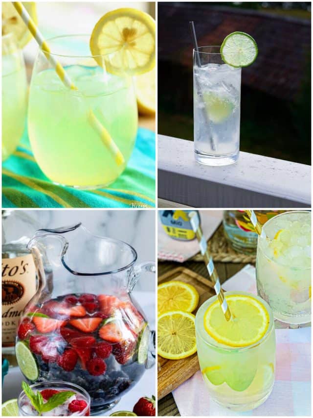 23 Skinny Vodka Cocktails To Shake Up Your Happy Hour!