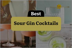 37 Best Sour Gin Cocktails