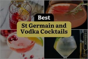 16 Best St Germain And Vodka Cocktails