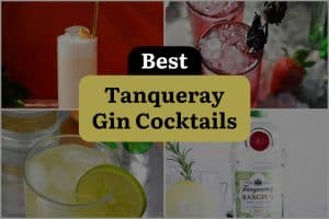 10 Best Tanqueray Gin Cocktails