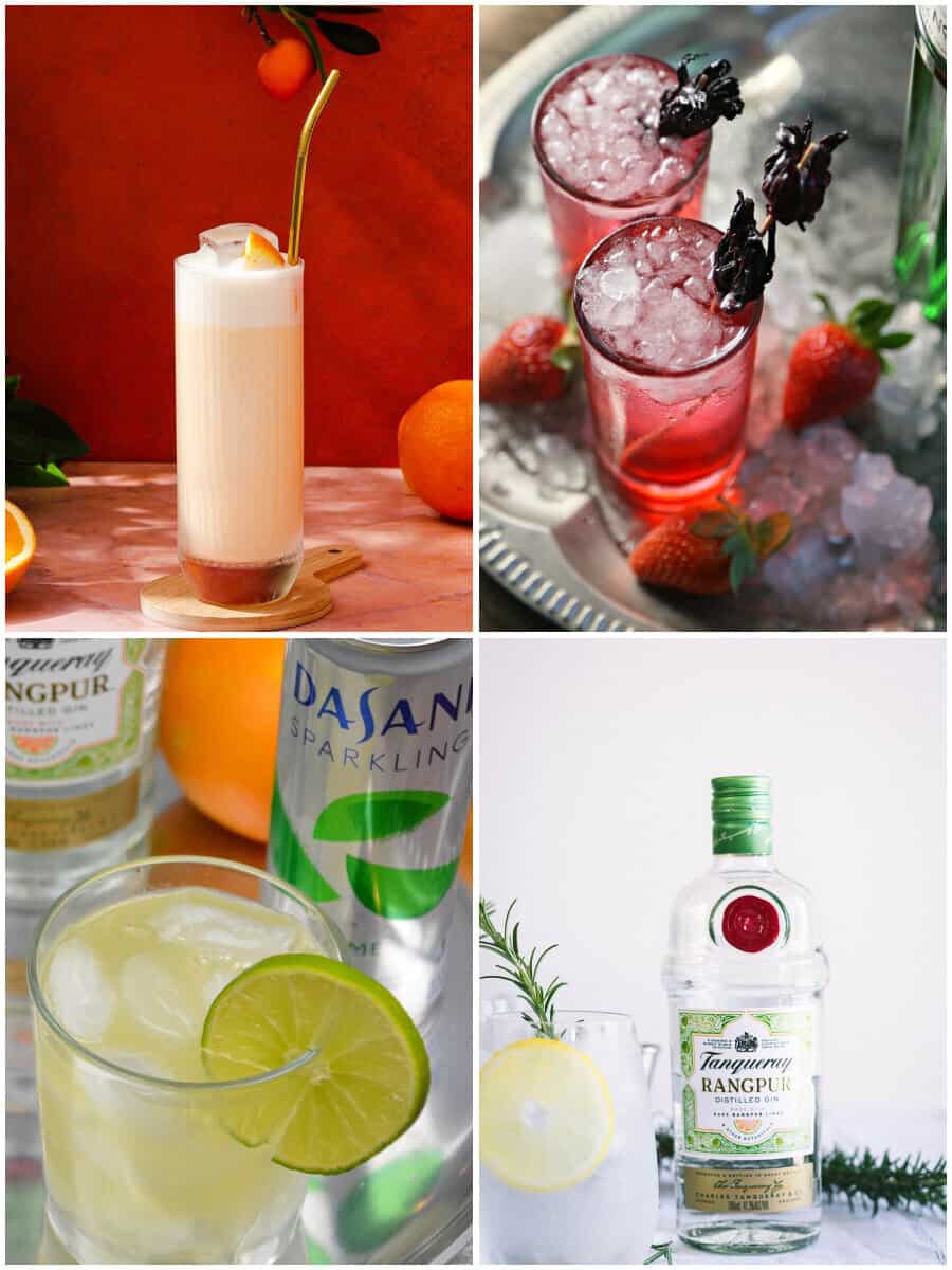 10 Tanqueray Gin Cocktails to Shake Up Your Summer!
