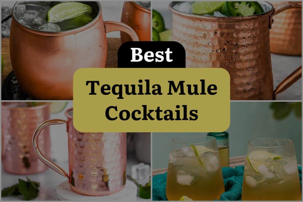 15 Tequila Mule Cocktails to Shake Up Your Happy Hour! DineWithDrinks