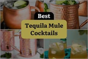 15 Best Tequila Mule Cocktails