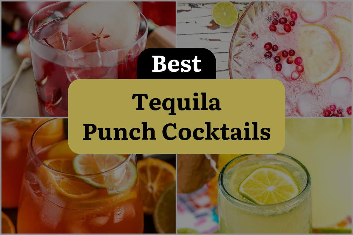16 Best Tequila Punch Cocktails