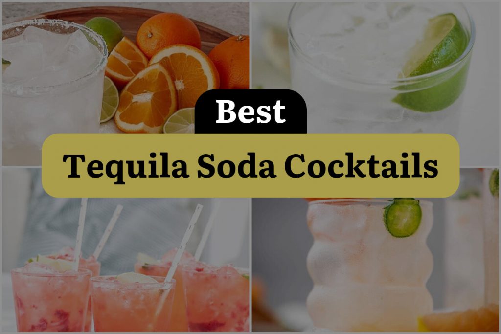 14 Tequila Soda Cocktails to Shake Up Your Summer! DineWithDrinks