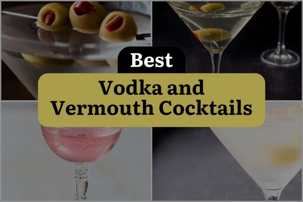 5 Vodka and Vermouth Cocktails to Rock Your Taste Buds! DineWithDrinks