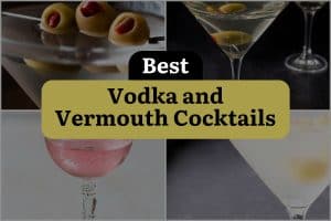 5 Best Vodka And Vermouth Cocktails