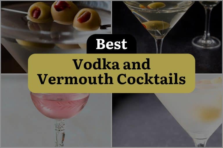 5 Vodka and Vermouth Cocktails to Rock Your Taste Buds! DineWithDrinks