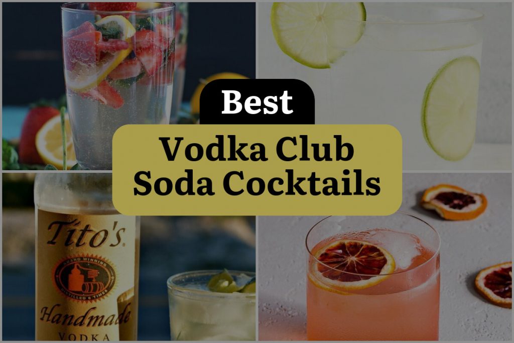 20 Vodka Club Soda Cocktails to Shake Up Your Night! | DineWithDrinks