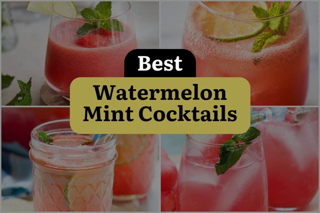 22 Best Watermelon Mint Cocktails | DineWithDrinks