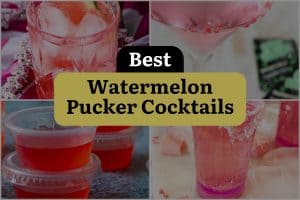 5 Best Watermelon Pucker Cocktails