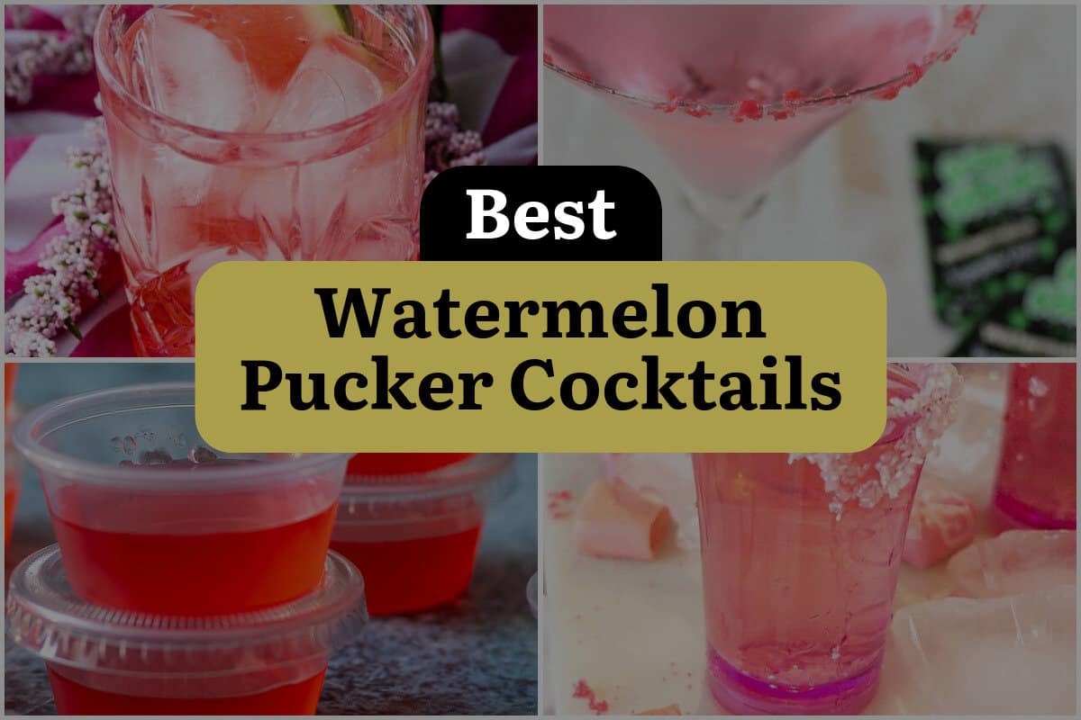 5 Best Watermelon Pucker Cocktails