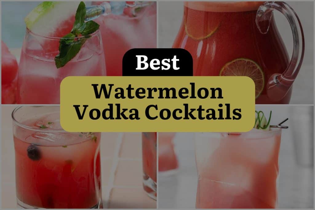 17 Watermelon Vodka Cocktails That Will Satisfy Your Thirst ...