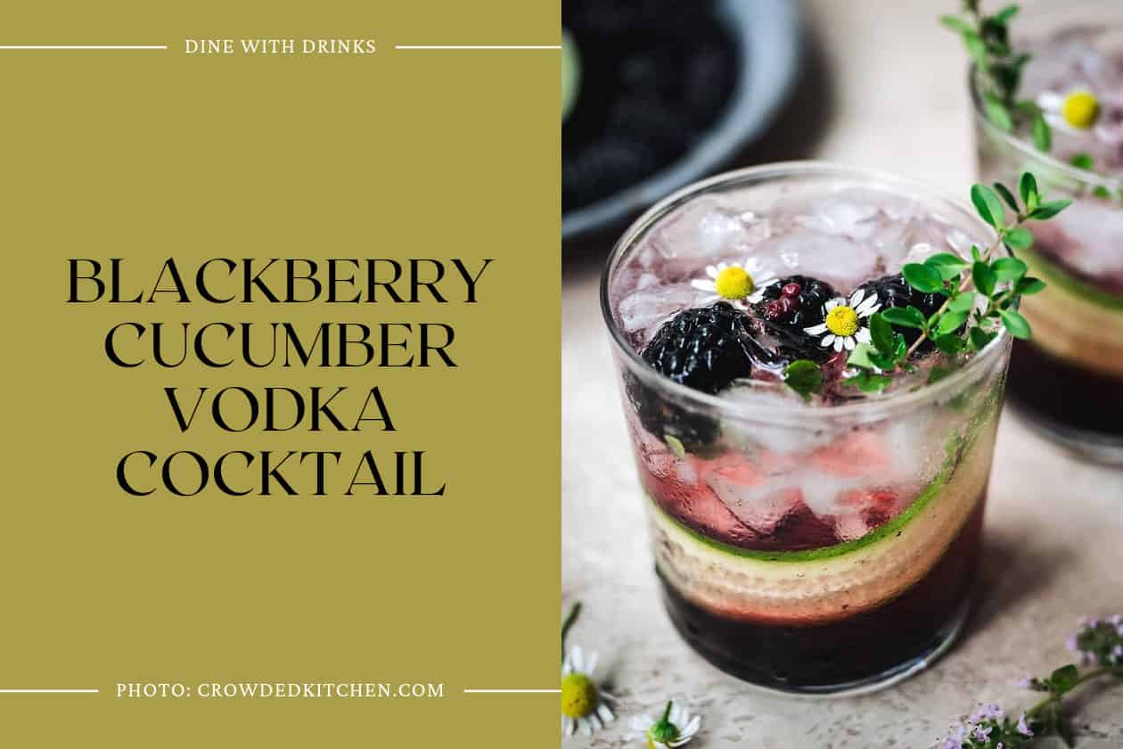 Blackberry Cucumber Vodka Cocktail
