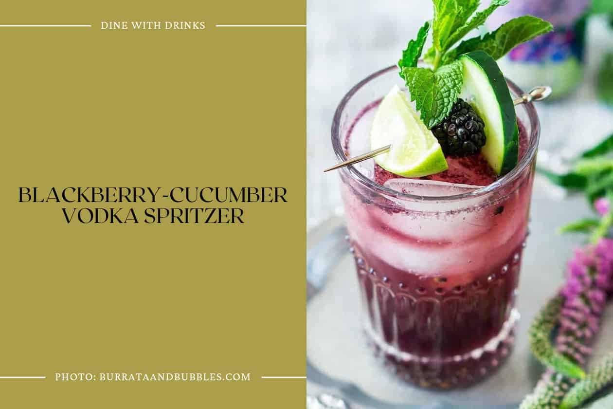 Blackberry-Cucumber Vodka Spritzer