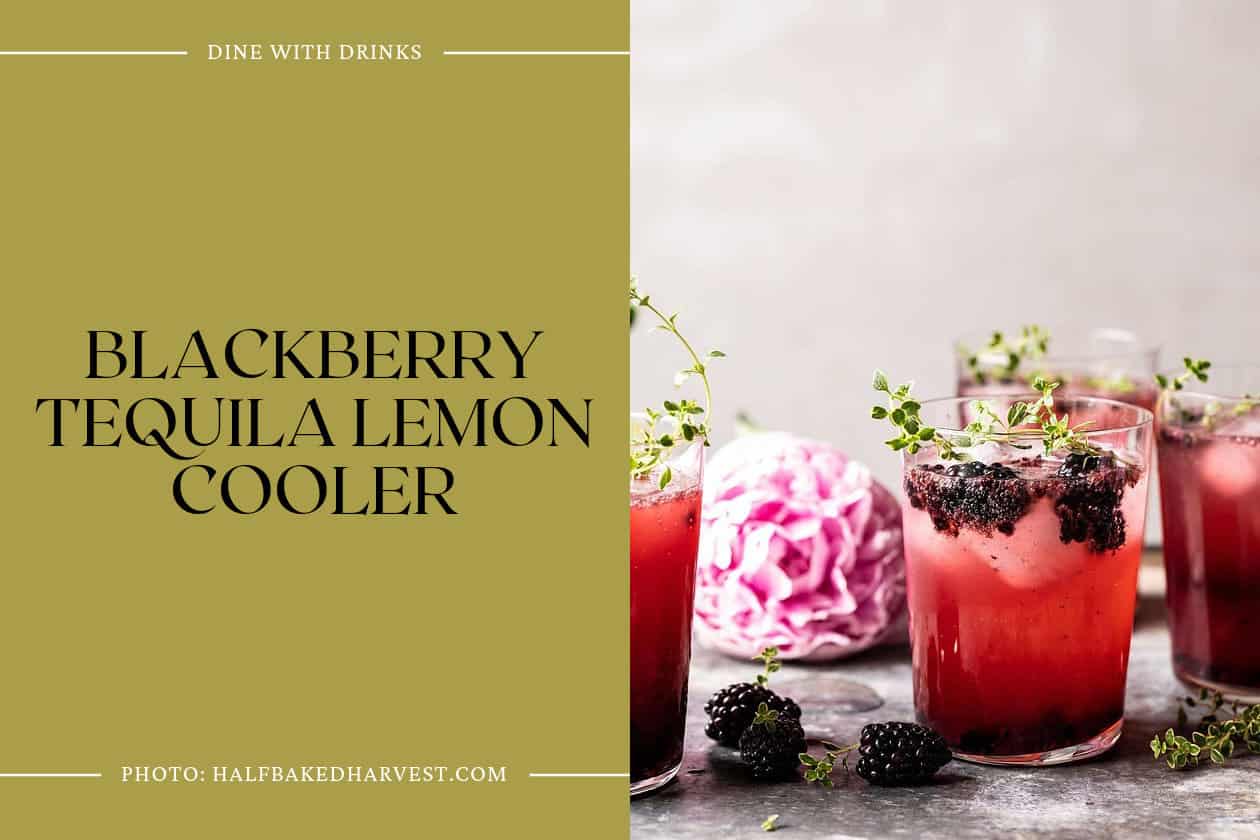 Blackberry Tequila Lemon Cooler