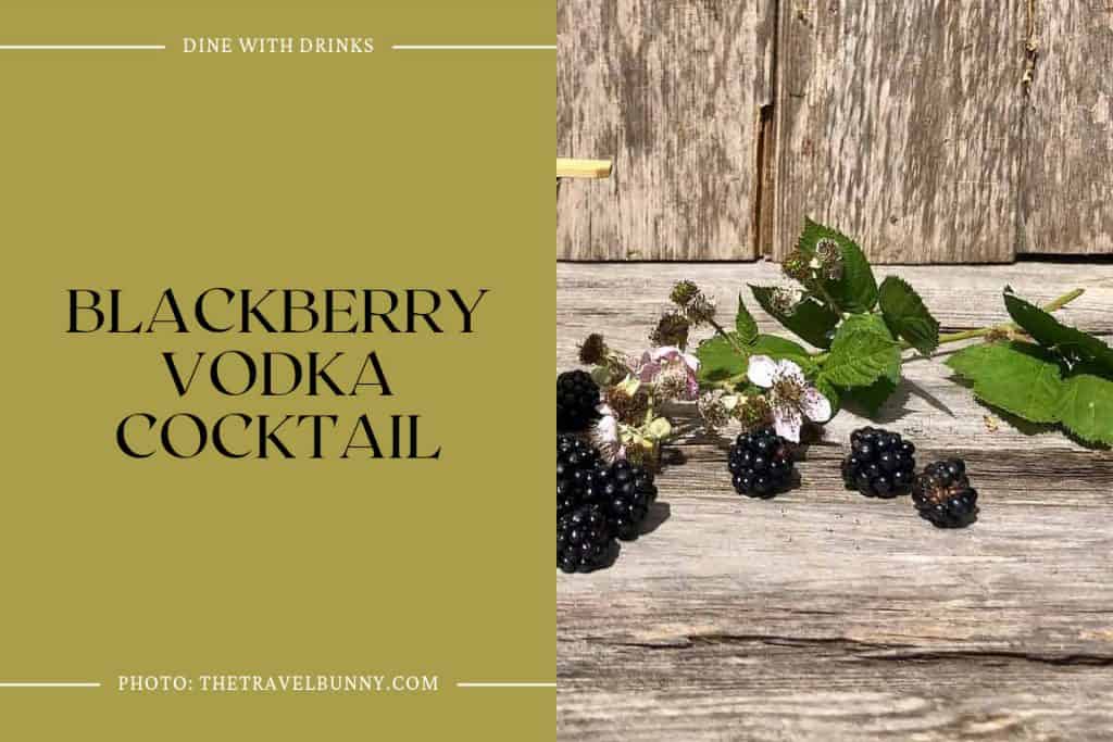 29 Vanilla Vodka Cocktails That Will Sweeten Your Spirits! DineWithDrinks