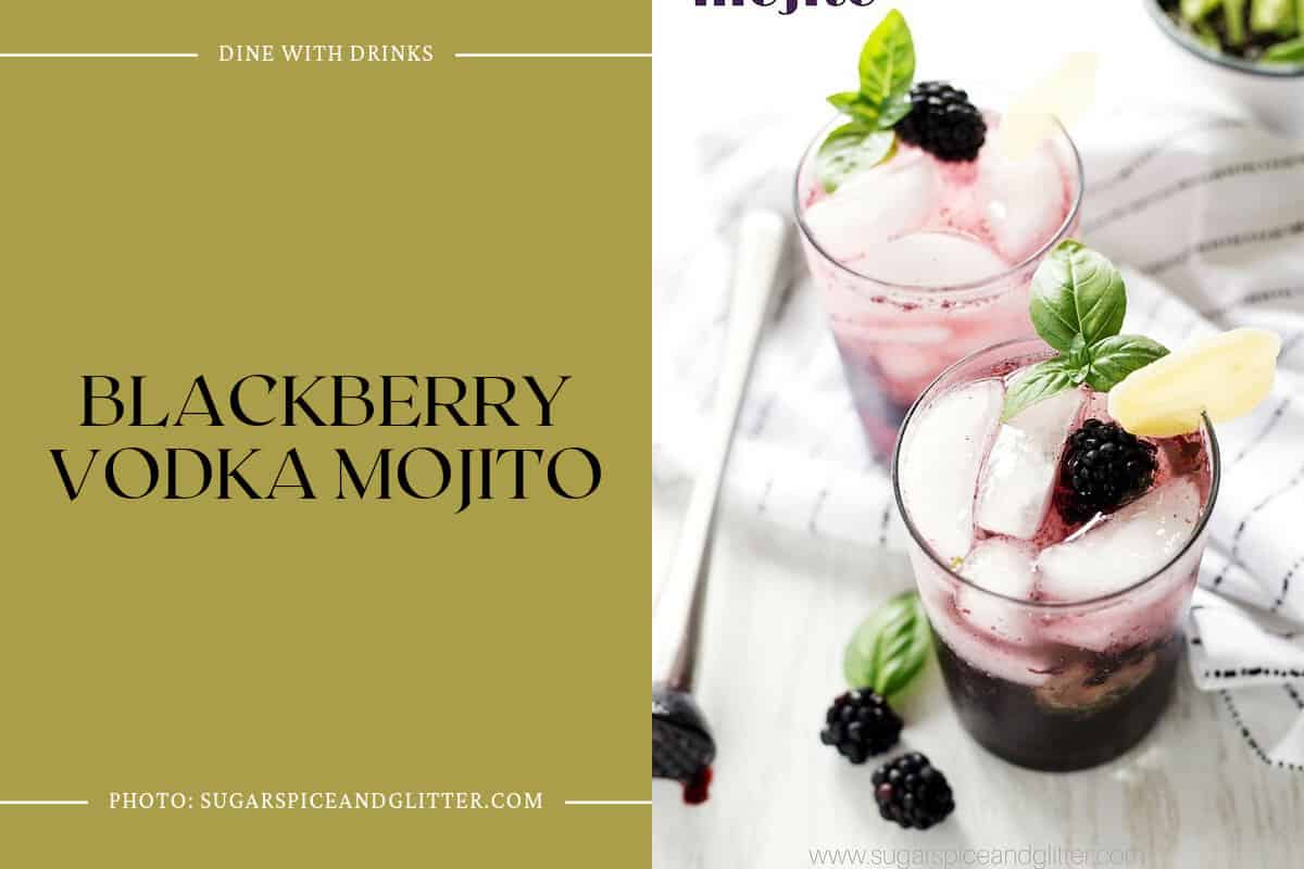 Blackberry Vodka Mojito