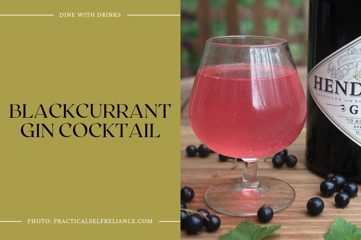 Blackcurrant Gin Cocktail