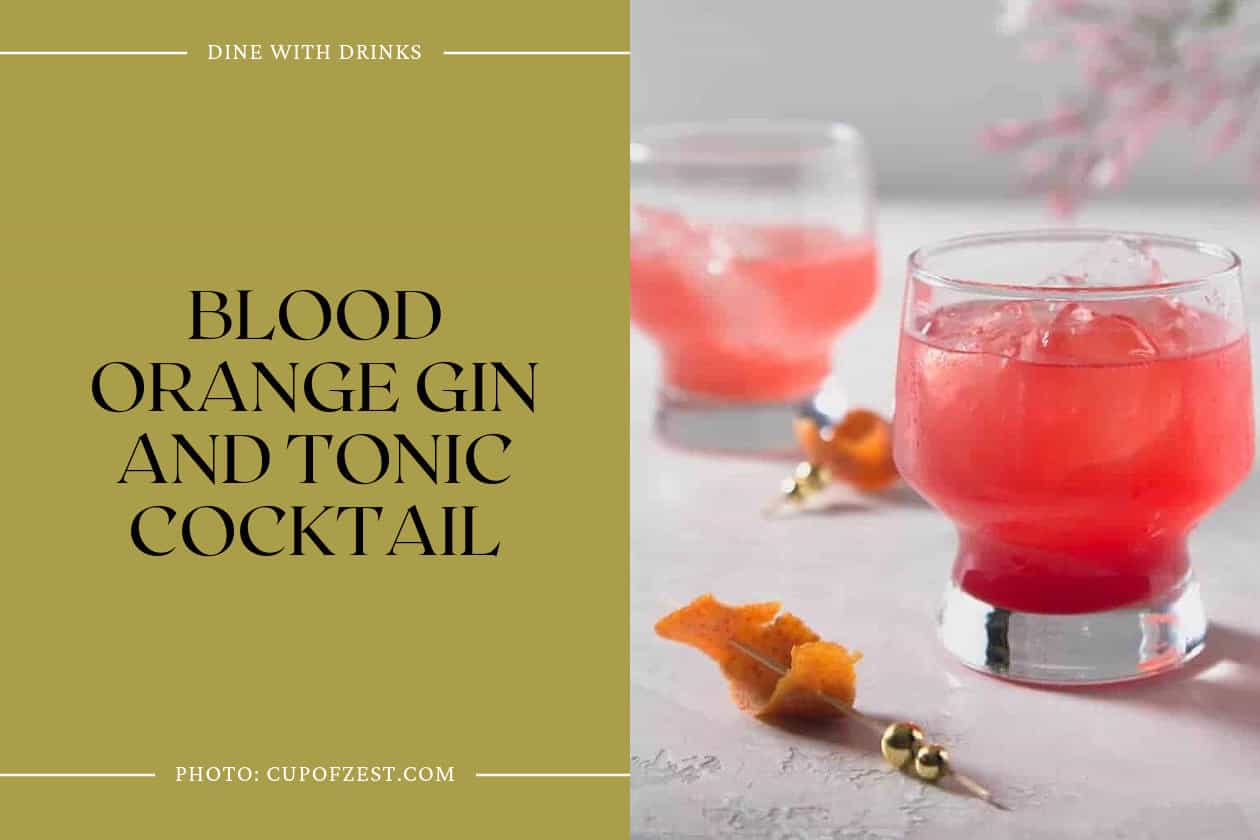 Blood Orange Gin And Tonic Cocktail
