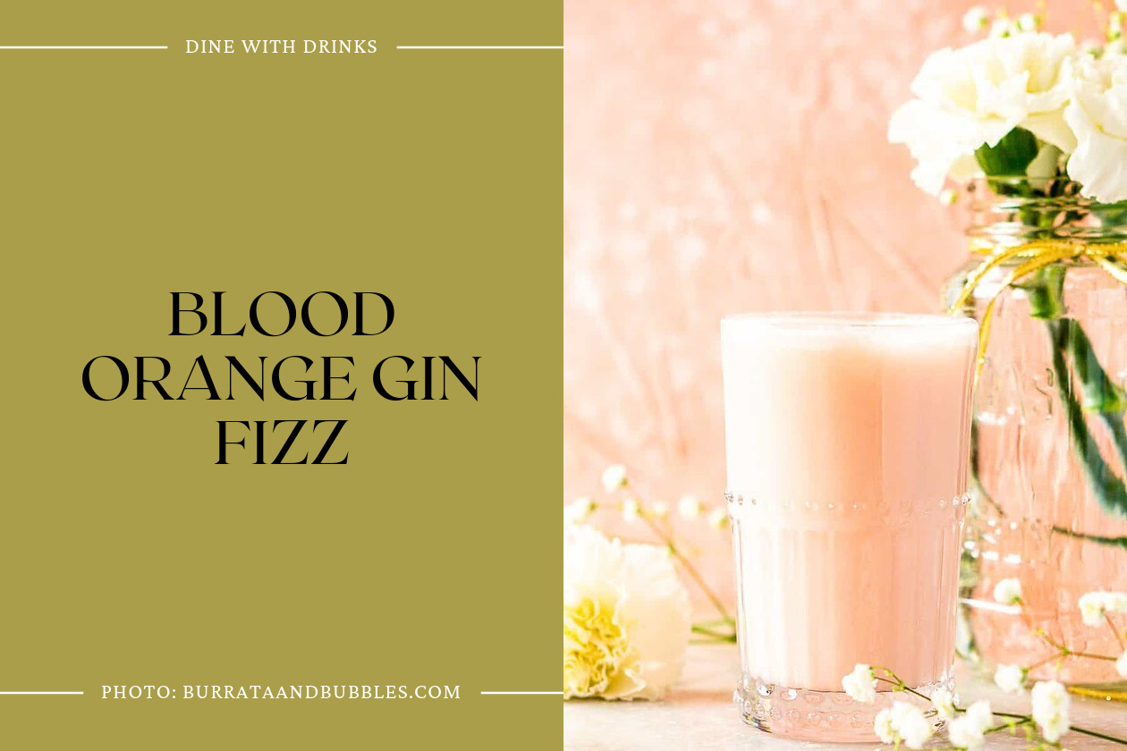 Blood Orange Gin Fizz