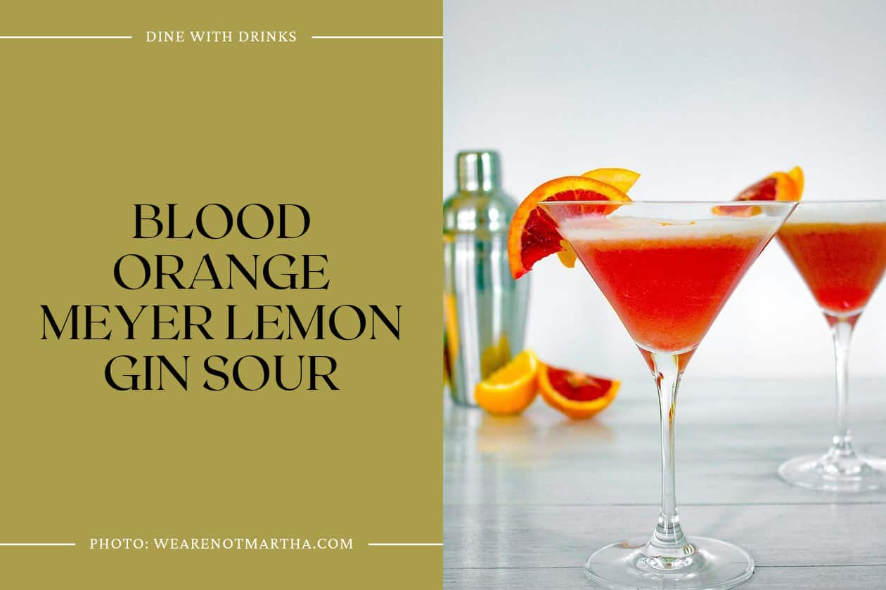 Blood Orange Meyer Lemon Gin Sour