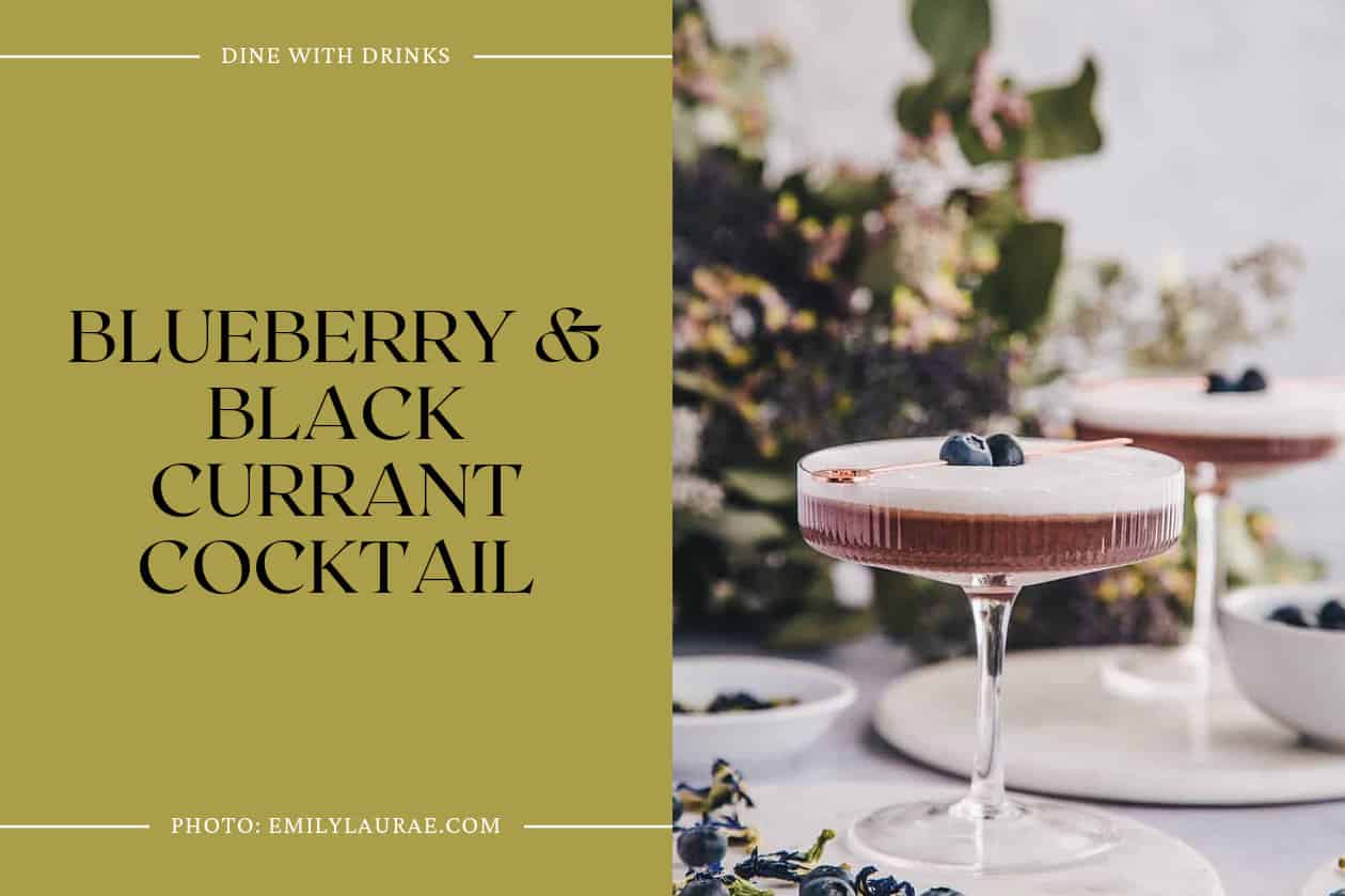 Blueberry & Black Currant Cocktail