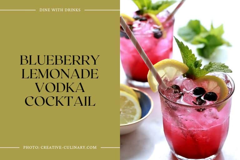 27 Vodka Lemonade Cocktails to Sip in the Sun! DineWithDrinks