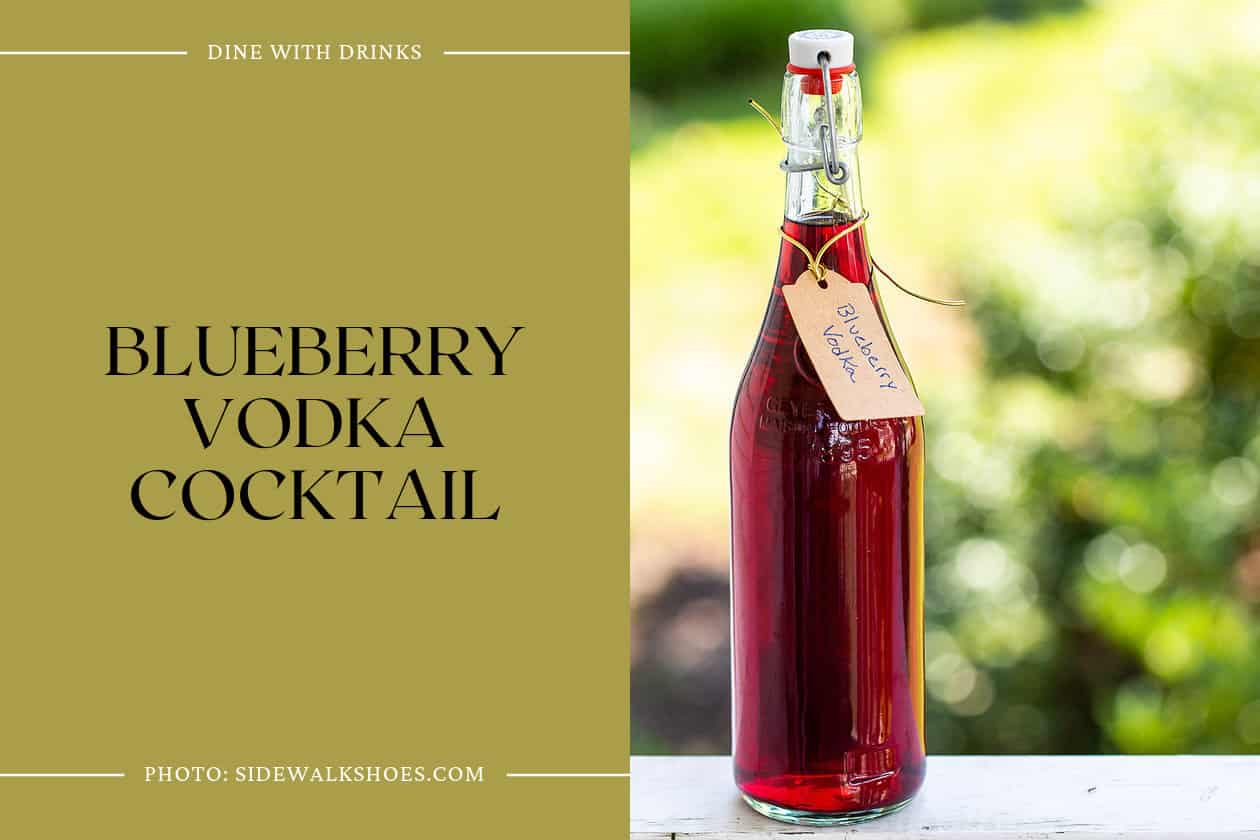 Blueberry Vodka Cocktail