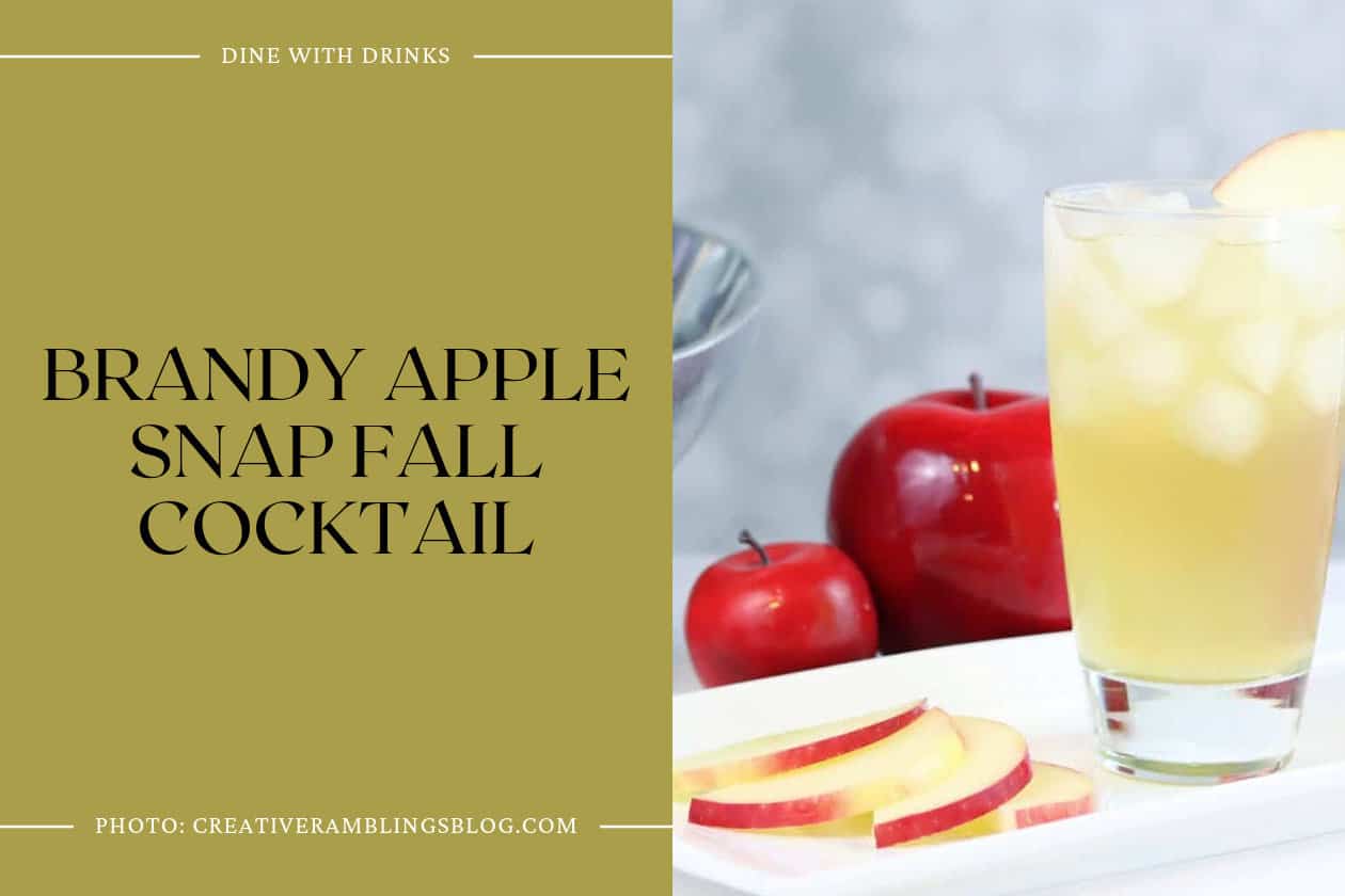 Brandy Apple Snap Fall Cocktail
