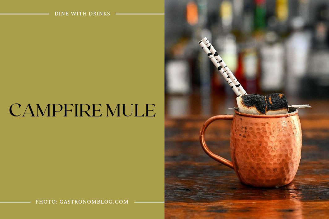 Campfire Mule