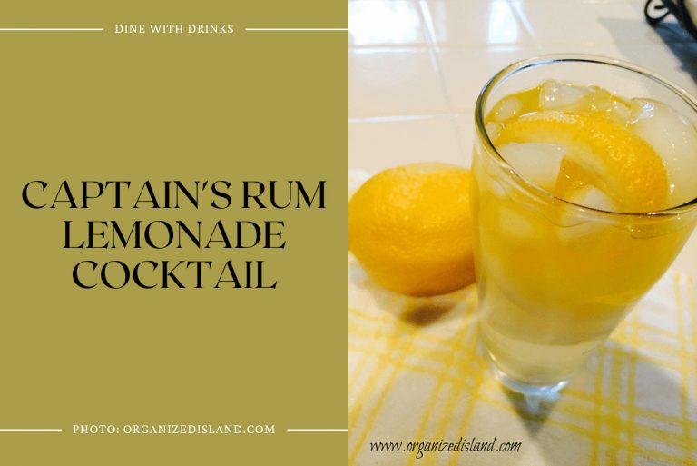 37 Rum and Lemonade Cocktails to Sip Under the Sun DineWithDrinks