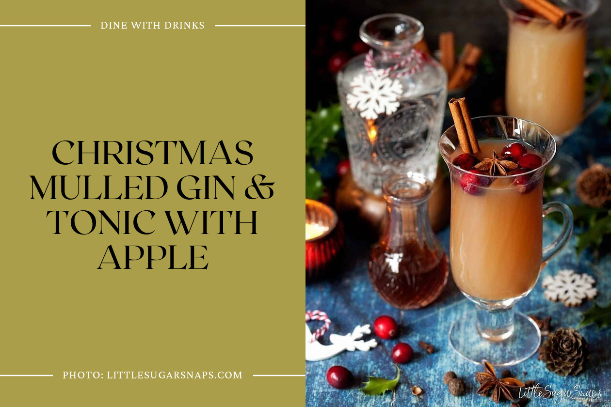 Christmas Mulled Gin & Tonic With Apple