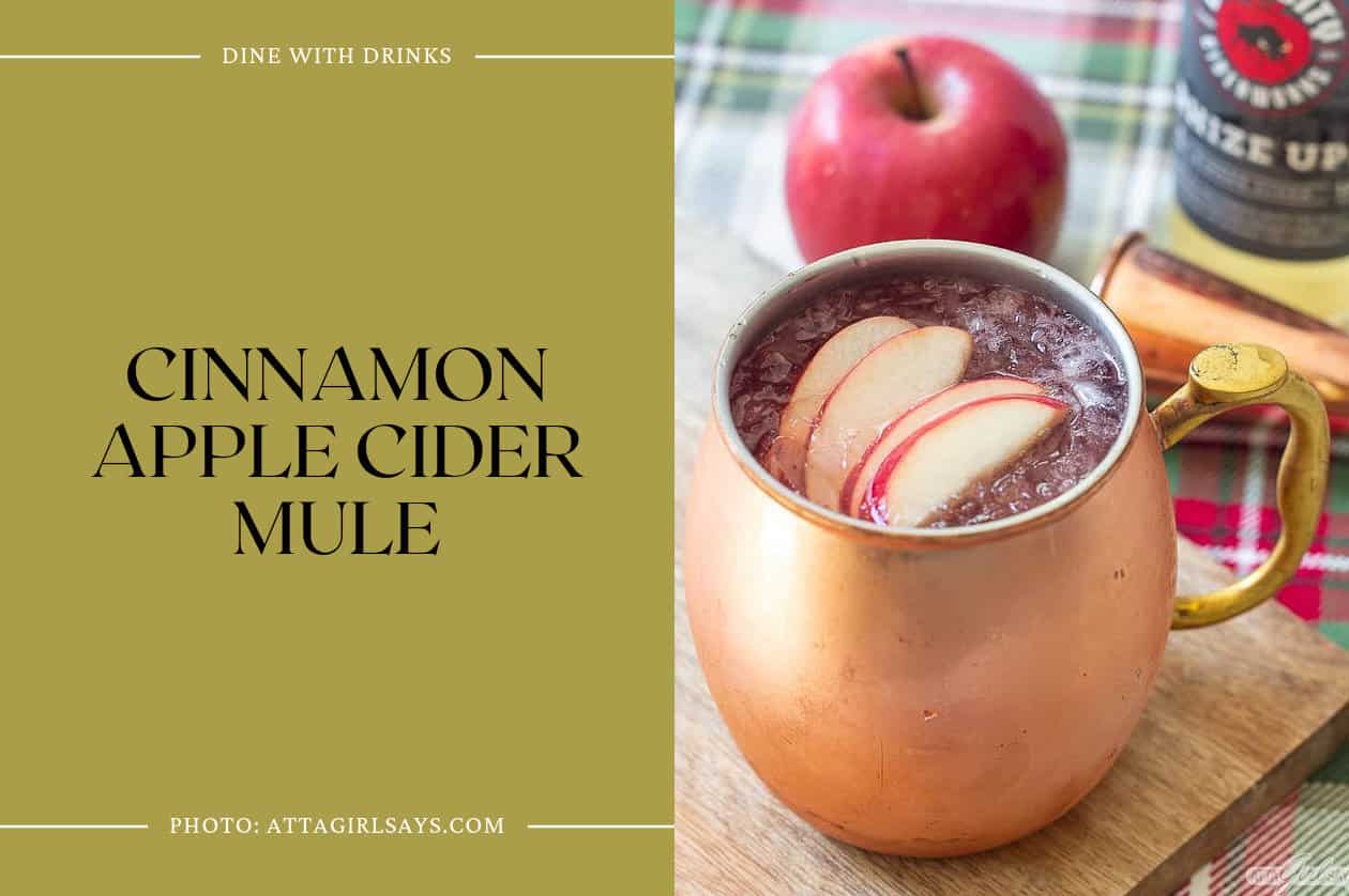 Cinnamon Apple Cider Mule