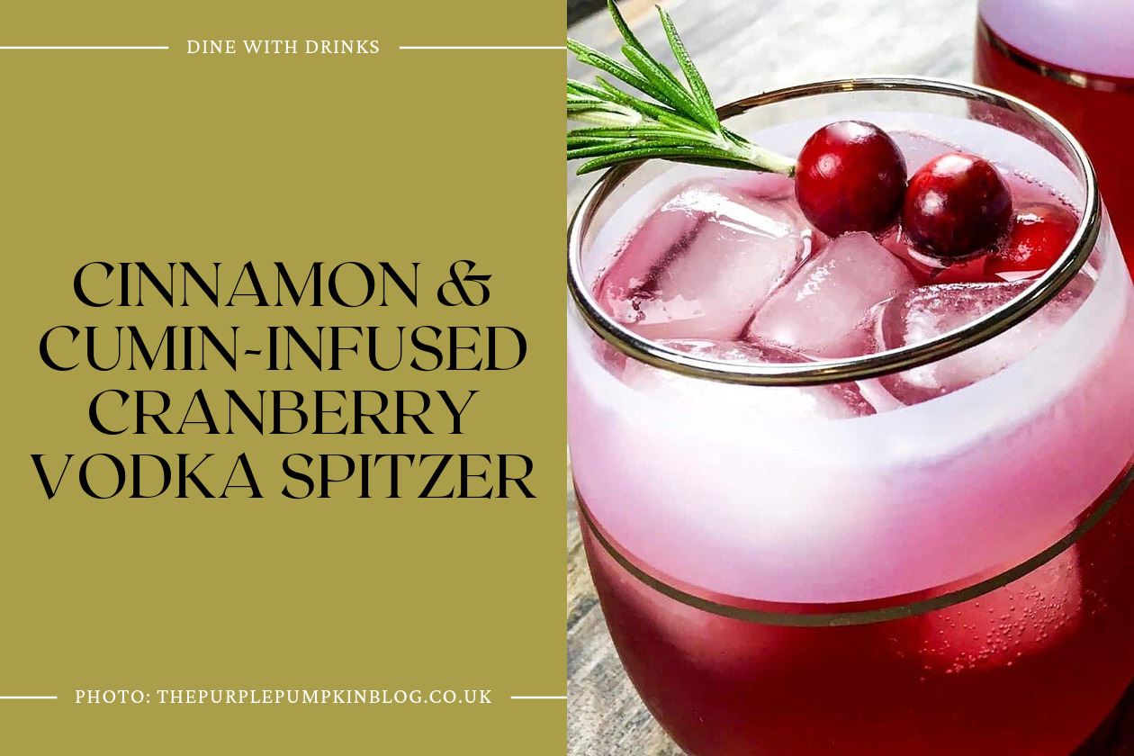 Cinnamon & Cumin-Infused Cranberry Vodka Spitzer