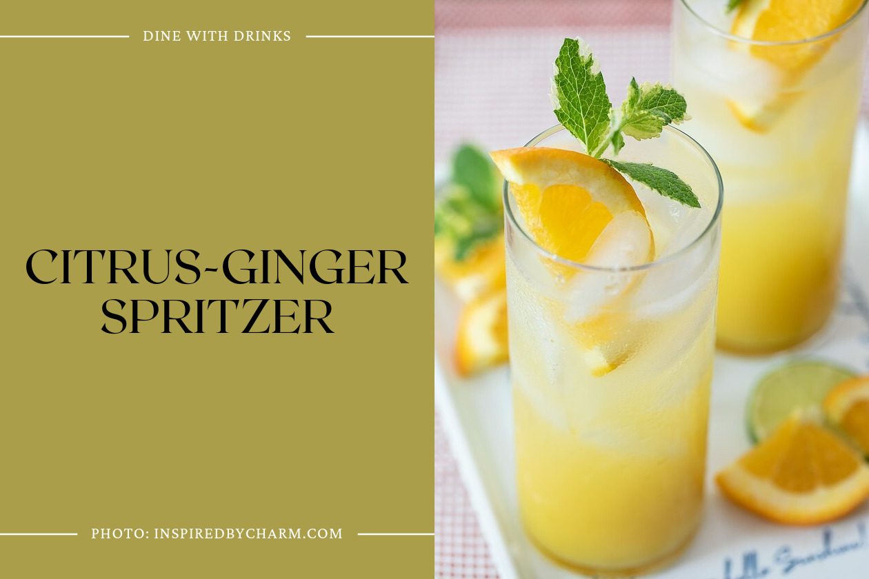 Citrus-Ginger Spritzer