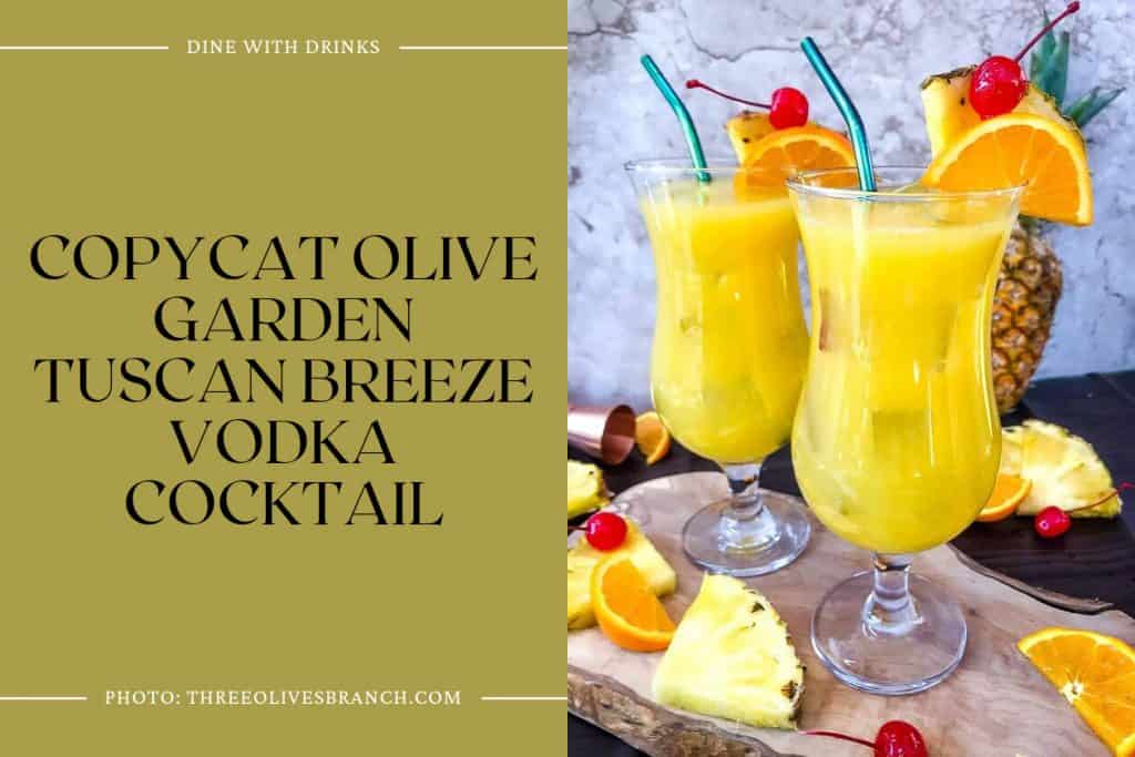 29 Tropical Vodka Cocktails to Transport You to Paradise DineWithDrinks